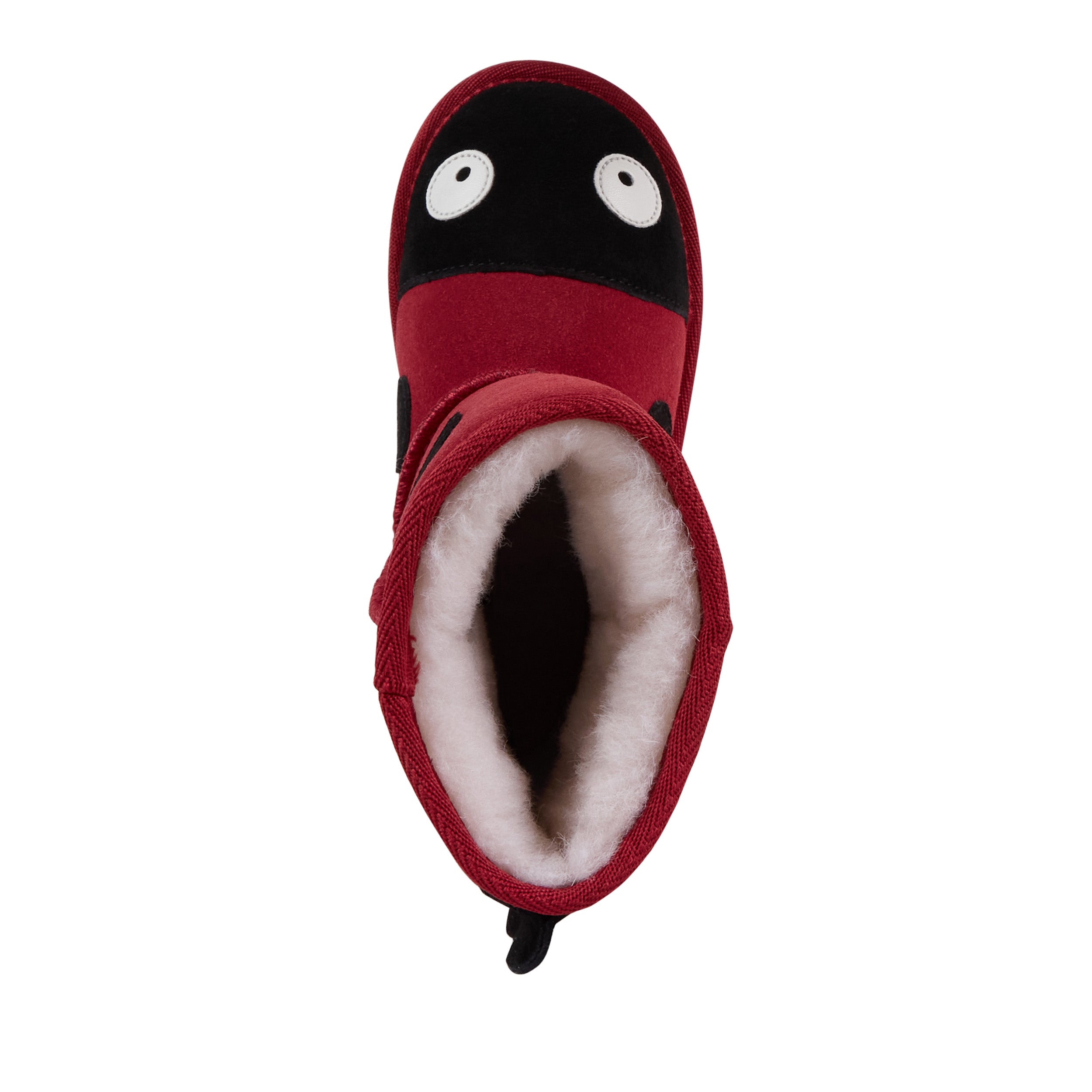 Ladybird