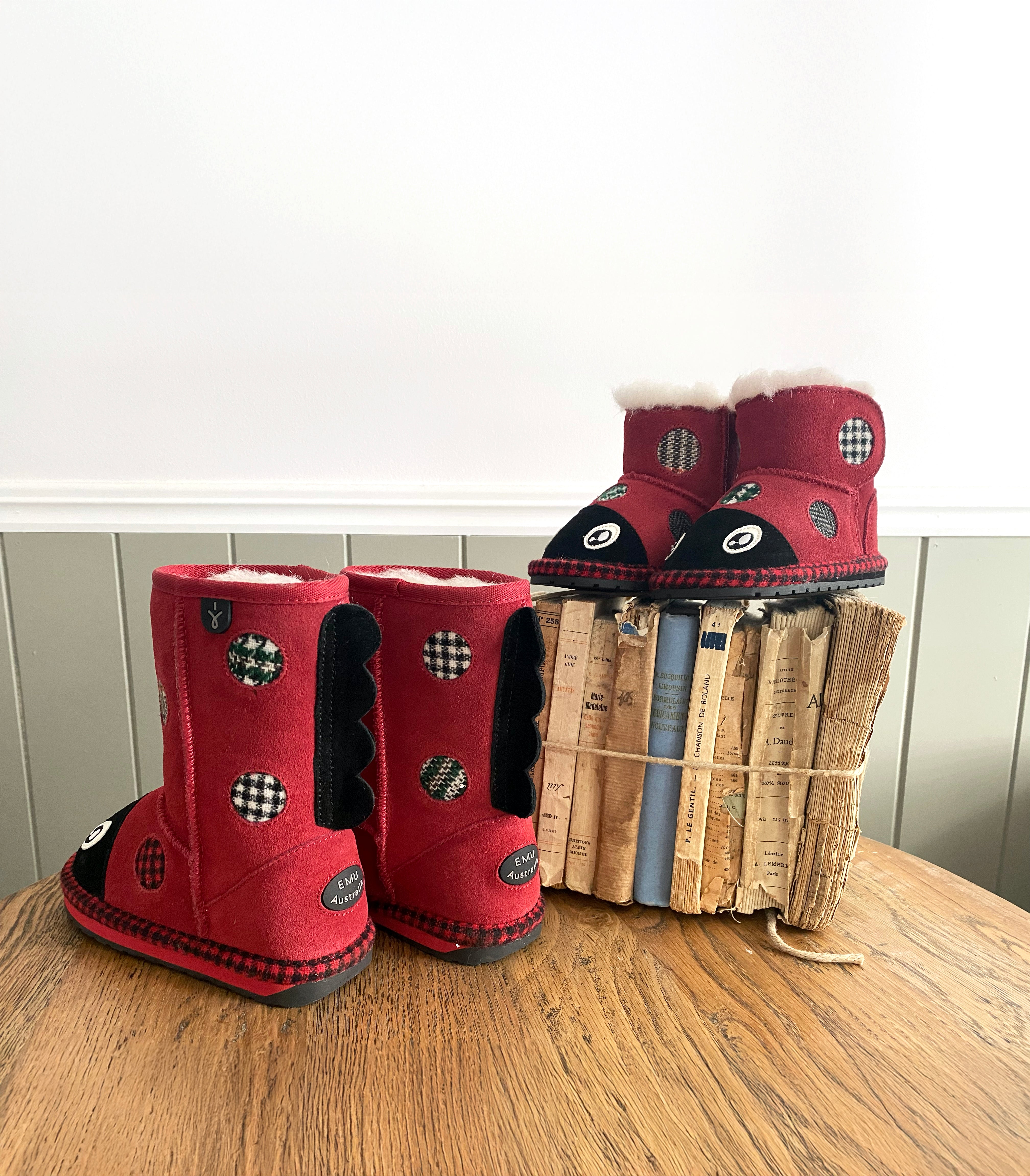 Lenny Ladybug