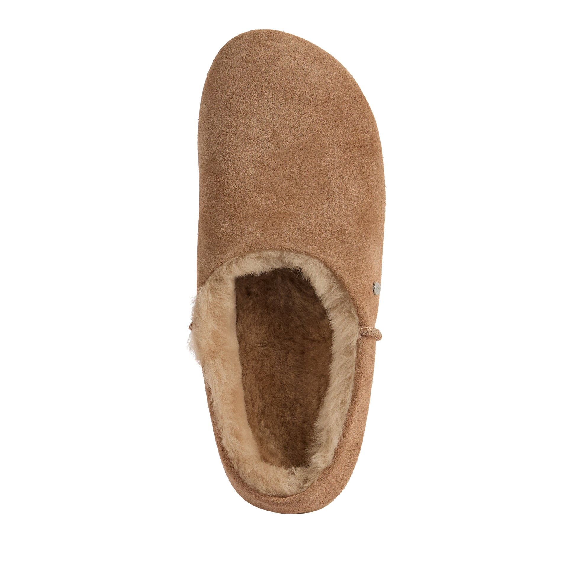 Azalea Comfort