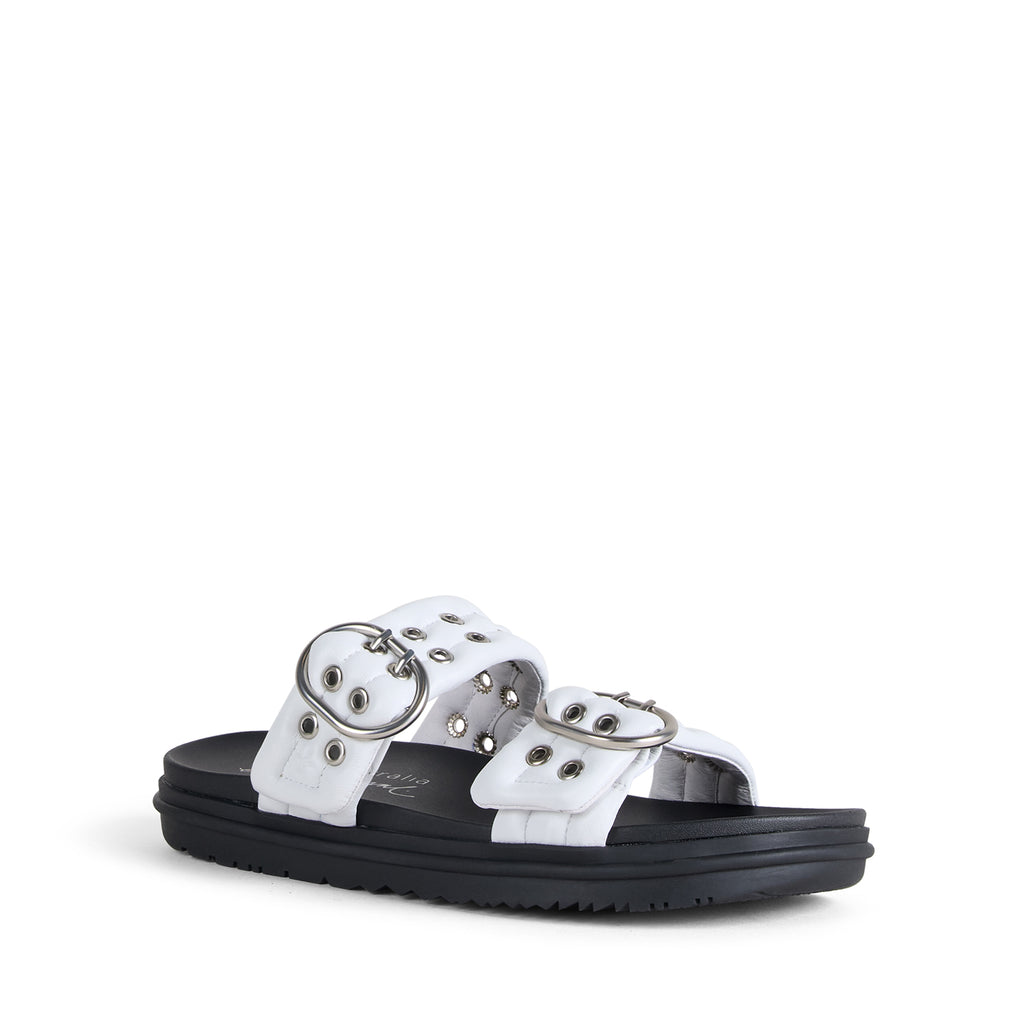 Bondi Buckle 2.0