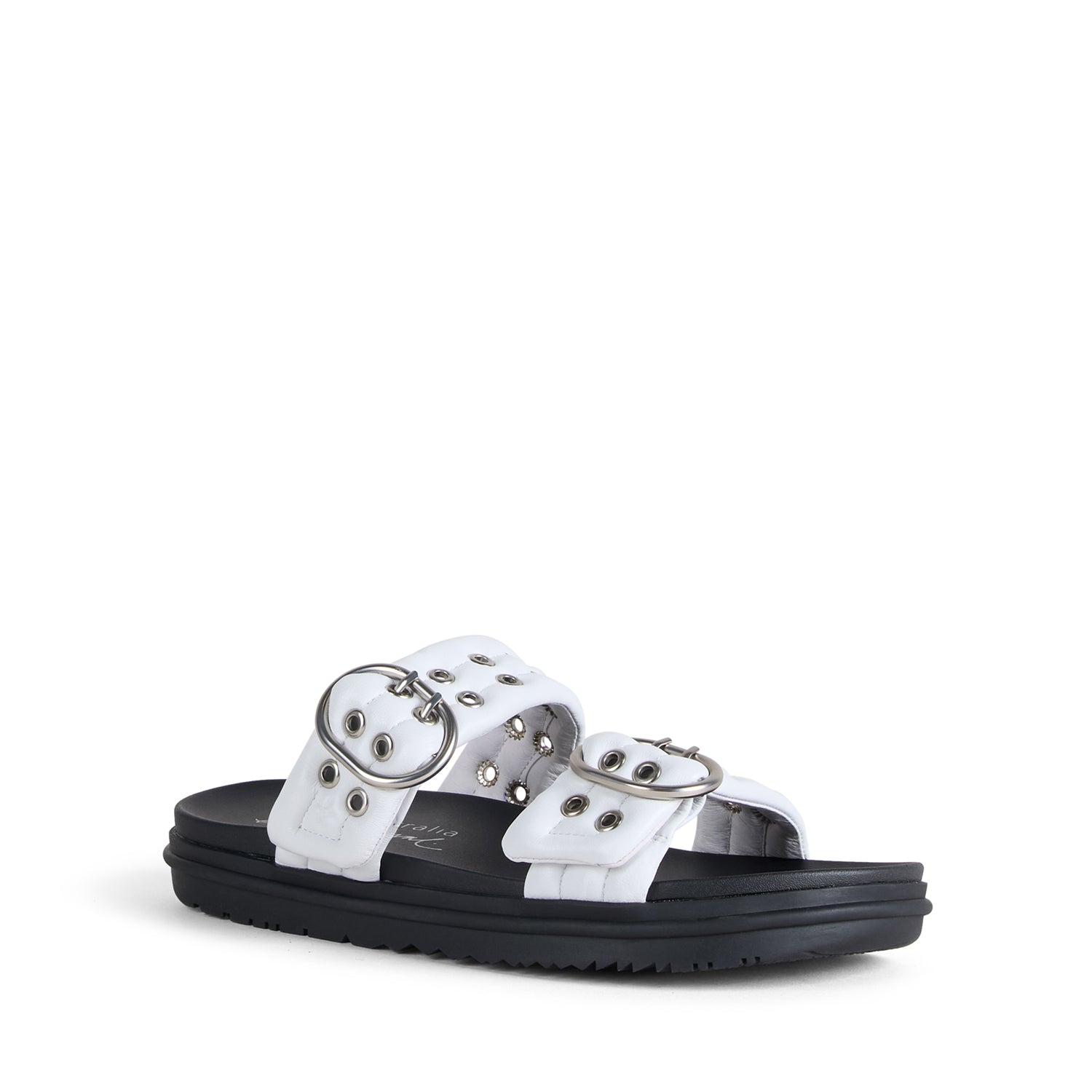 Bondi Buckle 2.0