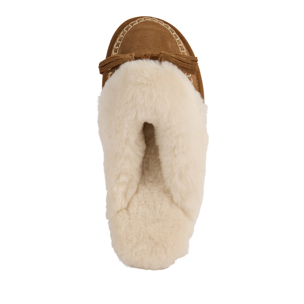 Tahnee