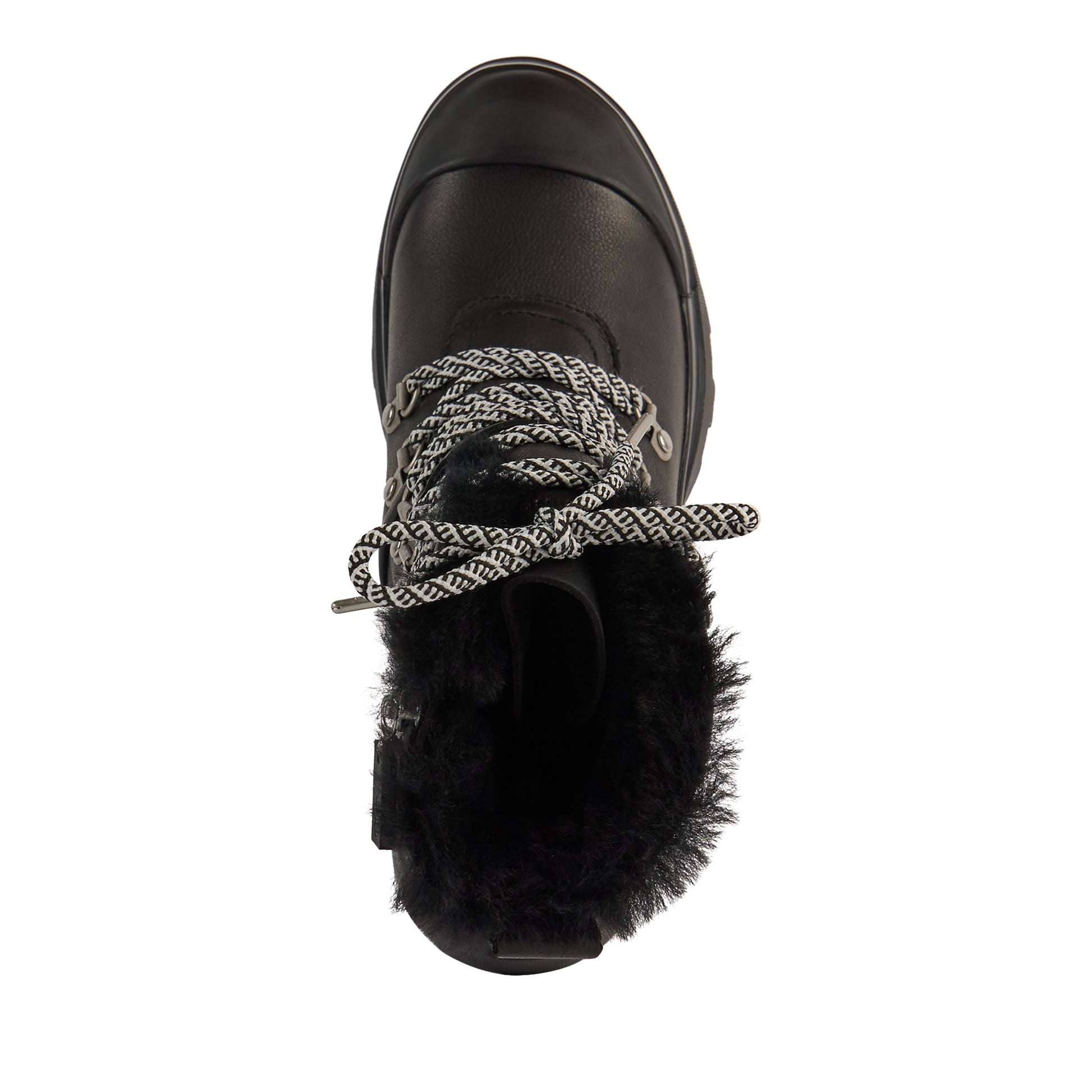 Dongara Zip