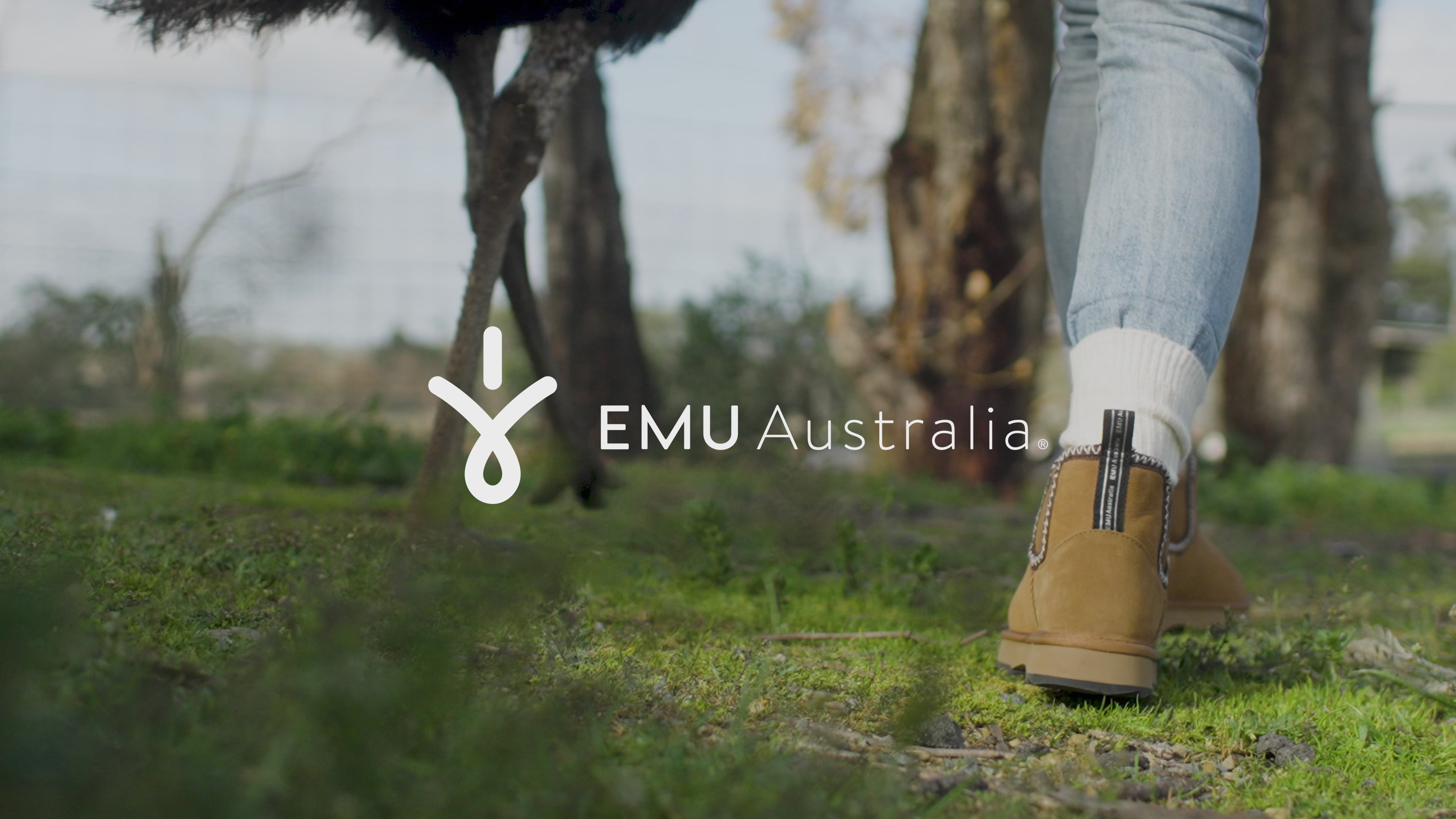 動画を読み込む: 