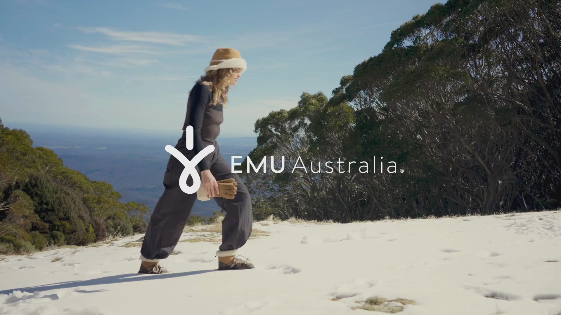 動画を読み込む: 